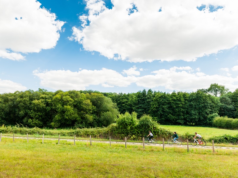 La forêt et ses secrets Boucle vélo 67 Savigné-sur-Lathan Indre-et-Loire