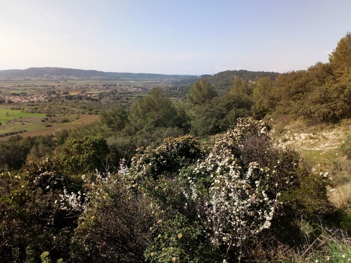 La garrigue, résultat de l&rsquo;activité humaine dès le néolithique et l&rsquo;âge du fer, jardin du Muséum de Nimes, Nîmes
