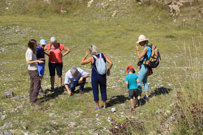 La Gentiane amère en actions !, Parking de l’église, Sentilly, Monts-sur-Orne