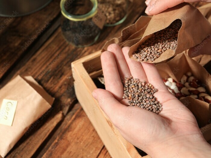 La grainothèque de la maison du jardinier Maison du jardinier et de la nature en ville Bordeaux