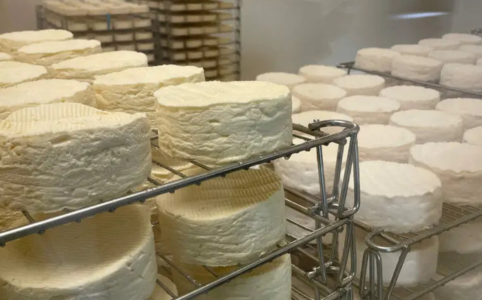 La Maison du Camembert, La maison du camembert, Camembert