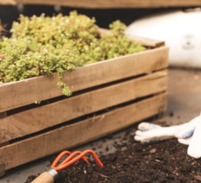 La Maison du jardinier et de la nature se déplace dans votre quartier !, Jardin De la croix de sud, Bordeaux