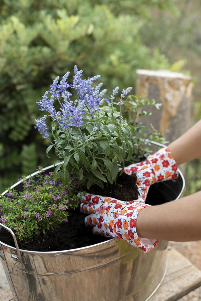 La Maison du jardinier et de la nature se déplace dans votre quartier !, Parc de Lussy, Bordeaux