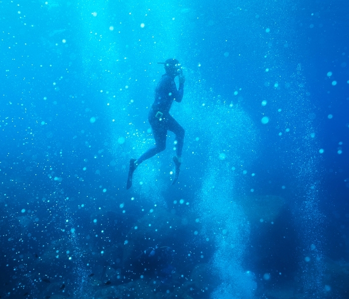 La mer jamais ne s’oublie, Musée de Bretagne, Rennes