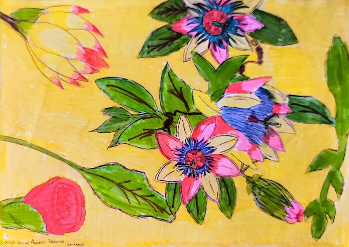 La nature et le vivant au prisme du Paraguay, Tech de Co-IUT de Bordeaux, Salle B201, Bâtiment B, 2ème étage., Bordeaux