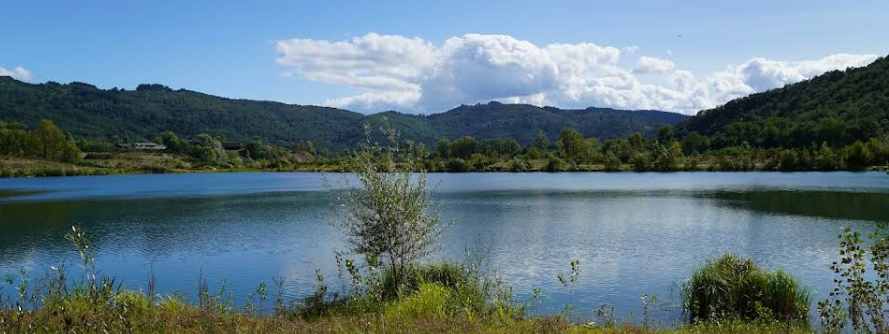 La nature la nuit, réserve départementale de biodiversité d&rsquo;Argentat  Argentat-sur-Dordogne