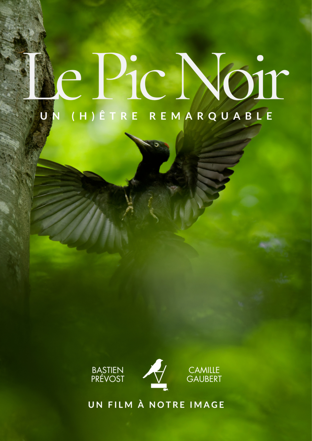 La Naute Balade/ Ciné échange  Champagnat