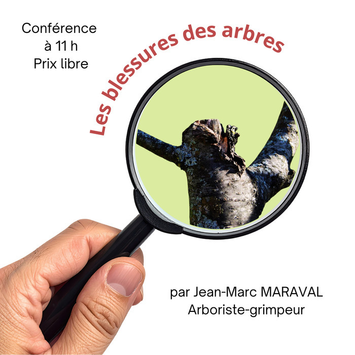 La réaction des arbres face aux blessures, La Brouette en Scène, Broût-Vernet