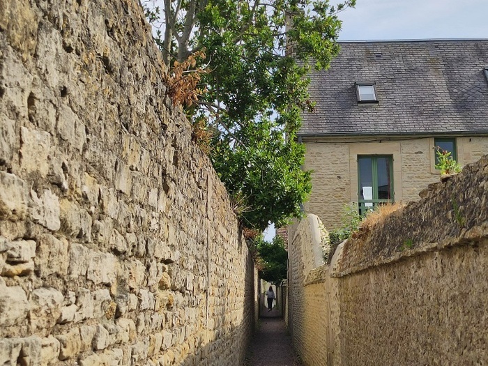 La richesse végétale et minérale des venelles Maison des curiosités naturelles Saint-Aubin-sur-Mer