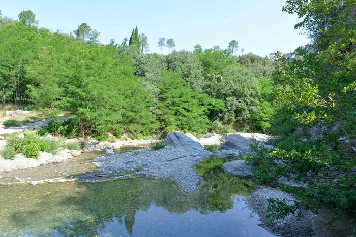 La rivière dans tous les sens Ners Ners