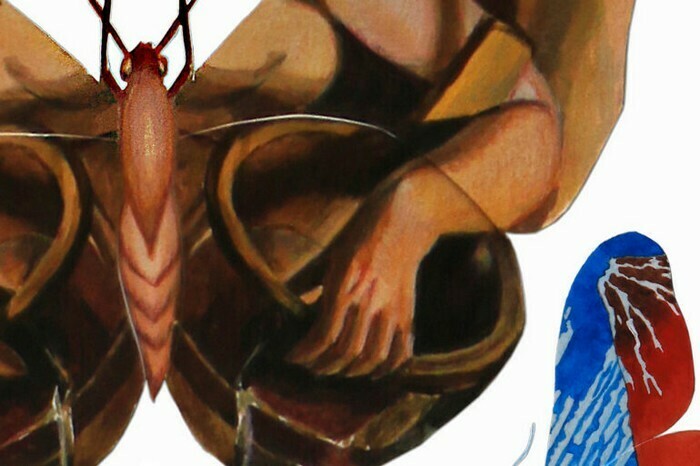 La symétrie des rêves (ANNULÉ), Hôtel de Ville, Saint-Sébastien-sur-Loire