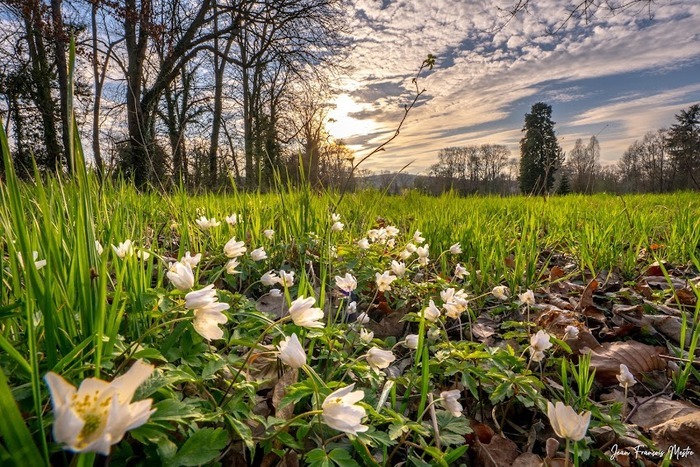 La vue en grand au parc Simon Parc Simon Augny