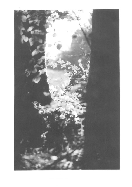 Lande interdite de Anne Isabelle Devillers Magnac-Bourg