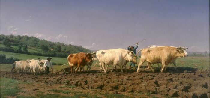 L’animal dans l’art : d’objet à sujet Bibliothèque Elsa Triolet - Pantin Pantin