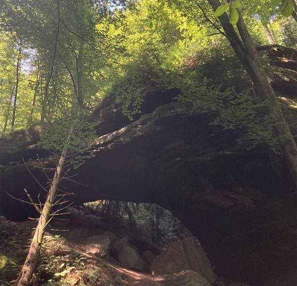 L&rsquo;arche du Schiertorfelsen Eschbourg Bas-Rhin