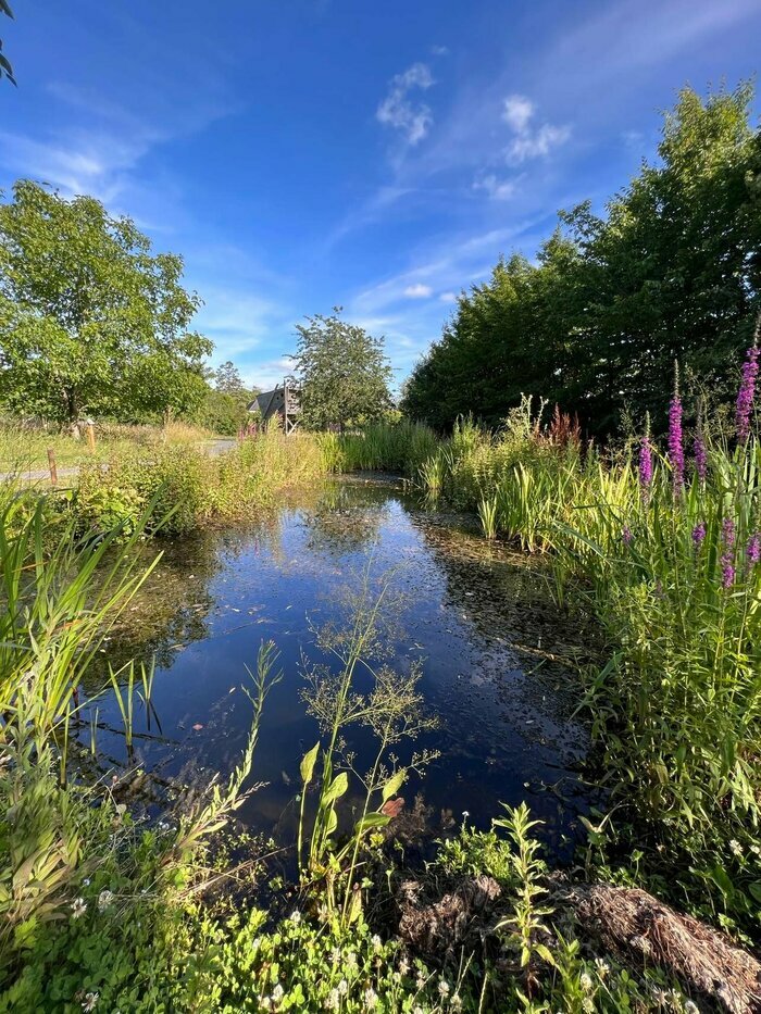 « Le bingo de la mare », La maison du Bocage et le jardin botanique, Sains-du-Nord