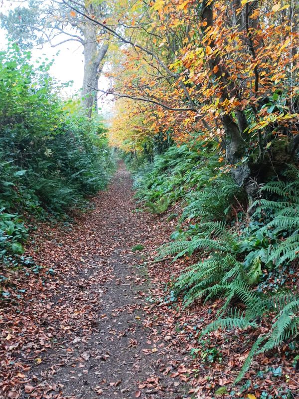 Le bocage en baskets  Le Lorey