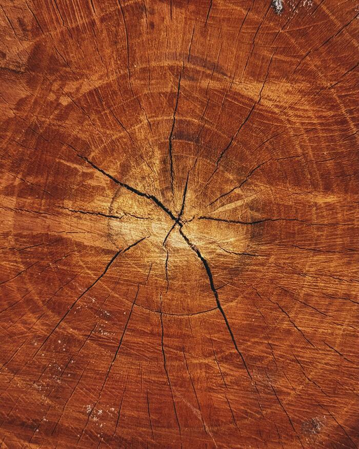 Le bois dans tous ses états, Musée de l&rsquo;outil, Wy-dit-Joli-Village