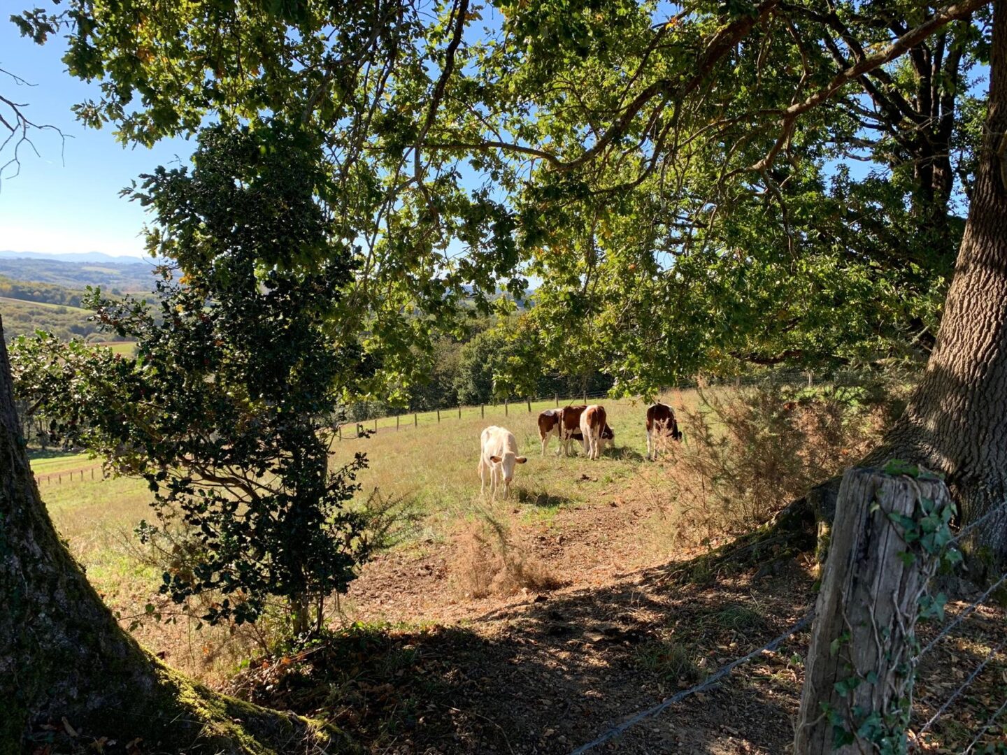 Le chemin des crêtes Puyoô Nouvelle-Aquitaine