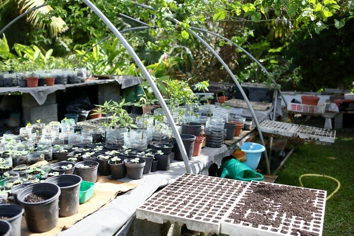 Le jardin Biomorne biomorne Morne-à-l'Eau