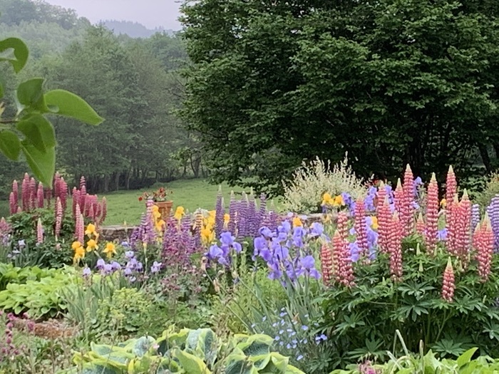 Le jardin de Banizette, Jardin du domaine de Banizette, La Nouaille