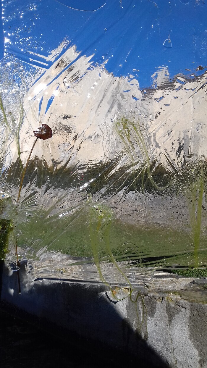 Le jardin des illusions, Salagon, musée et jardins, Mane