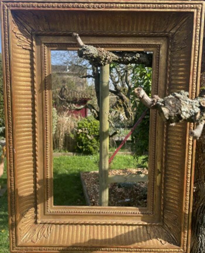 Le jardin encadré-Composer son propre tableau vivant, Jardin de Riparfonds, Bressuire