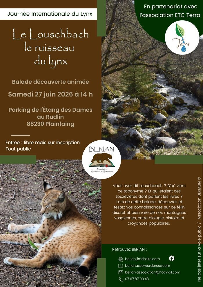 Le Louschbach, le ruisseau du lynx, Le Louschbach, Plainfaing