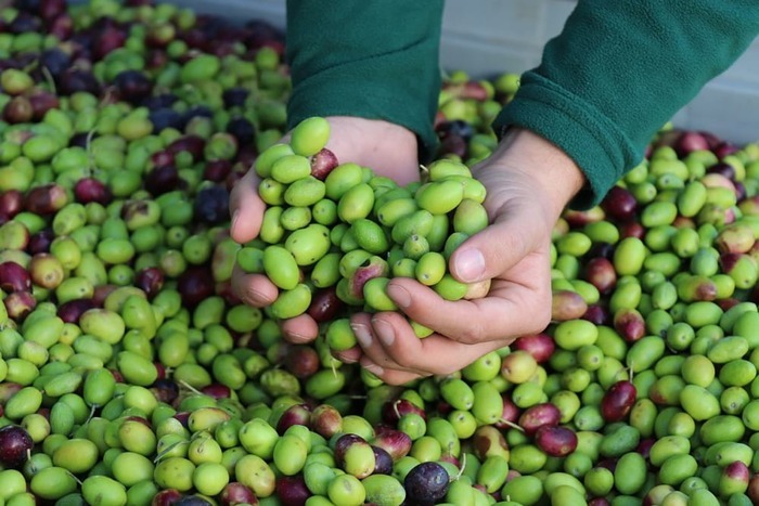 Le Moulin d’Uzès, Le Moulin d’Uzès, Saint-Maximin