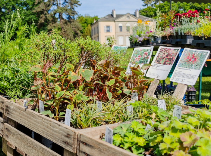 Le Petit marché aux plantes du Jardin Botanique de Genève Jardin Botanique de Genève Chambésy