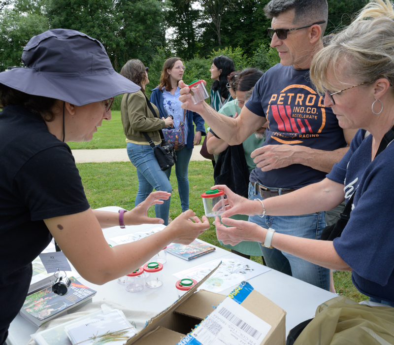 Le petit peuple de la prairie Noirlac Bruère-Allichamps 2026-06-06