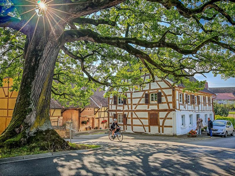 Le petit TDS (Tour du Sundgau) Gravel Altkirch Haut-Rhin
