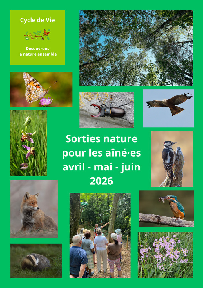 Le printemps des oiseaux: chants, reproduction et migration, Mairie de Confignon, Genève