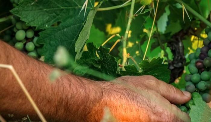 Le Rallye de la Gastronomie - Maison Dupré Maison Dupré Vallon-Pont-d'Arc