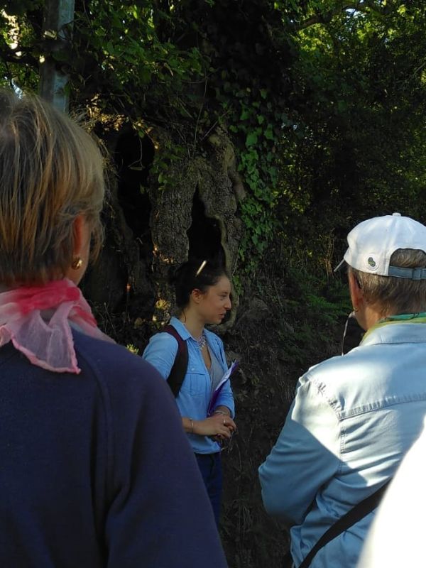 Le remembrement histoire du bocage Place des Tilleuls Thèreval