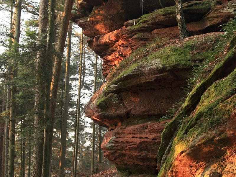 Le rocher du Pfannenfelsen Weiterswiller Bas-Rhin