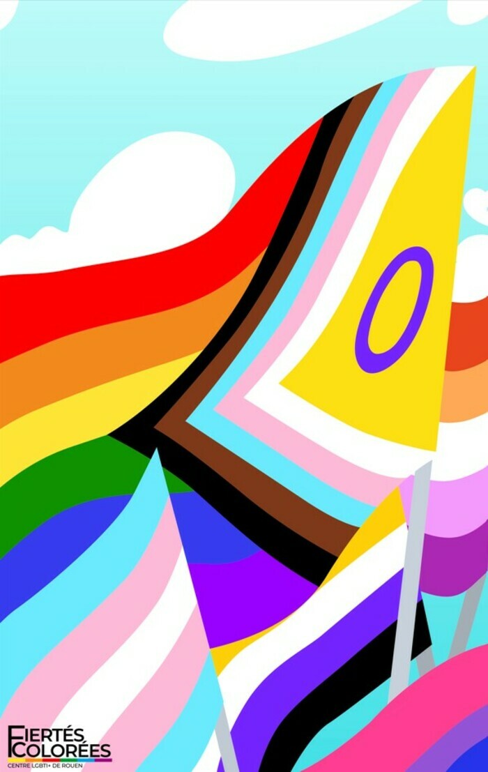 Le saviez-vous ?, Bibliothèque de la Grand&rsquo;Mare, Rouen