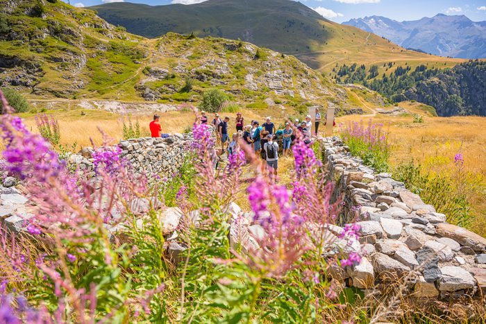 L'eau à Brandes : visite guidée en surface de la mine d'argent et médiévale du dauphin (XIIe-XIVe siècles) Site archéologique de Brandes Huez