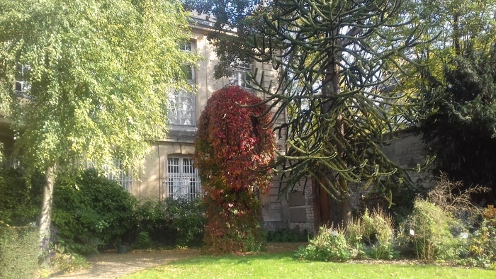 Lecture : découverte littéraire et sensorielle du jardin du musée Flaubert, Musée Flaubert et d&rsquo;histoire de la Médecine, Rouen
