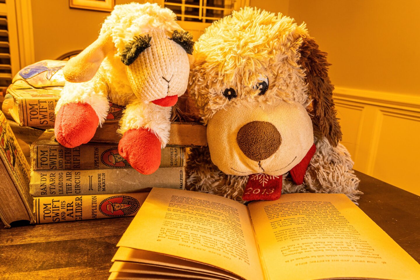 LECTURE POUR LES TOUT-PETITS  Saint-Chély-d&rsquo;Apcher