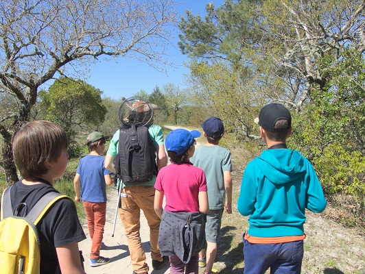 Les 3 eaux de Saint Brice Rond-Point Saint-Brice Arès