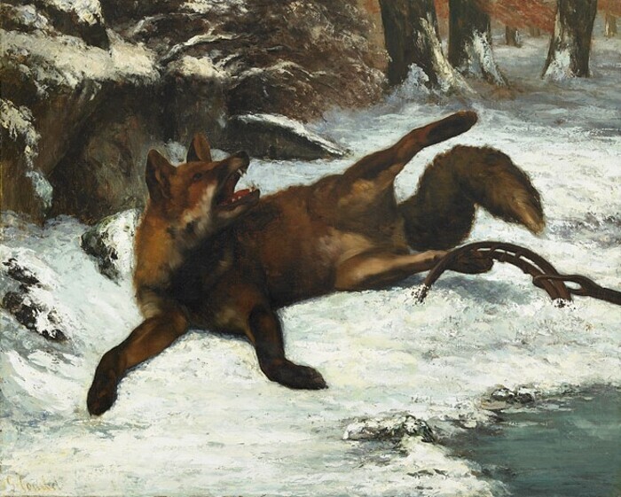 Les animaux chez Courbet Musée Courbet Ornans