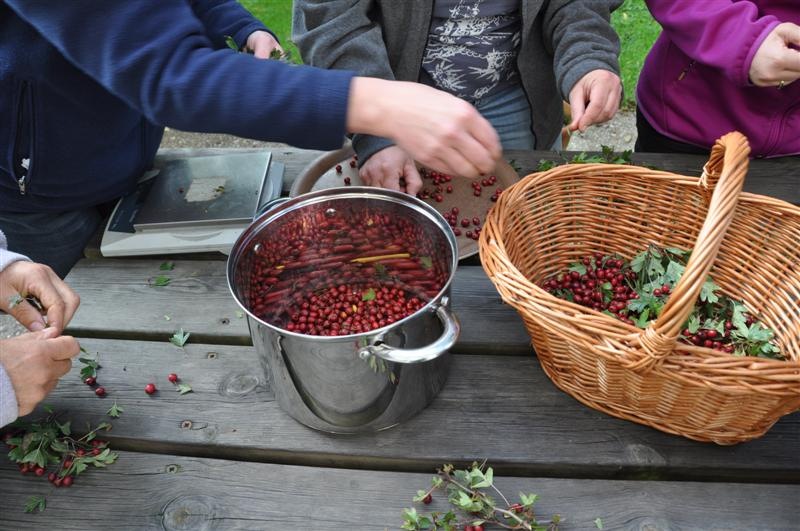 Les baies sauvages Chez Angèle Ornans 2026-09-25
