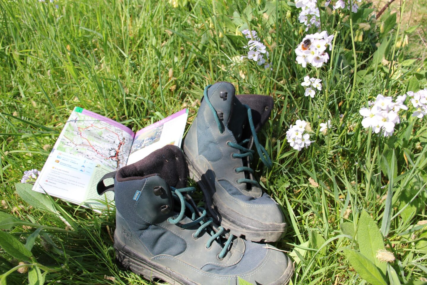 Les collines Salles-Mongiscard Pyrénées-Atlantiques