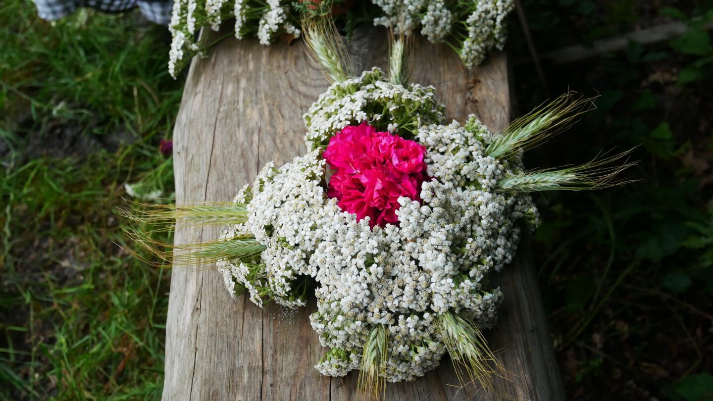Les croix de la Saint-Jean à Marquèze Écomusée de Marquèze Sabres