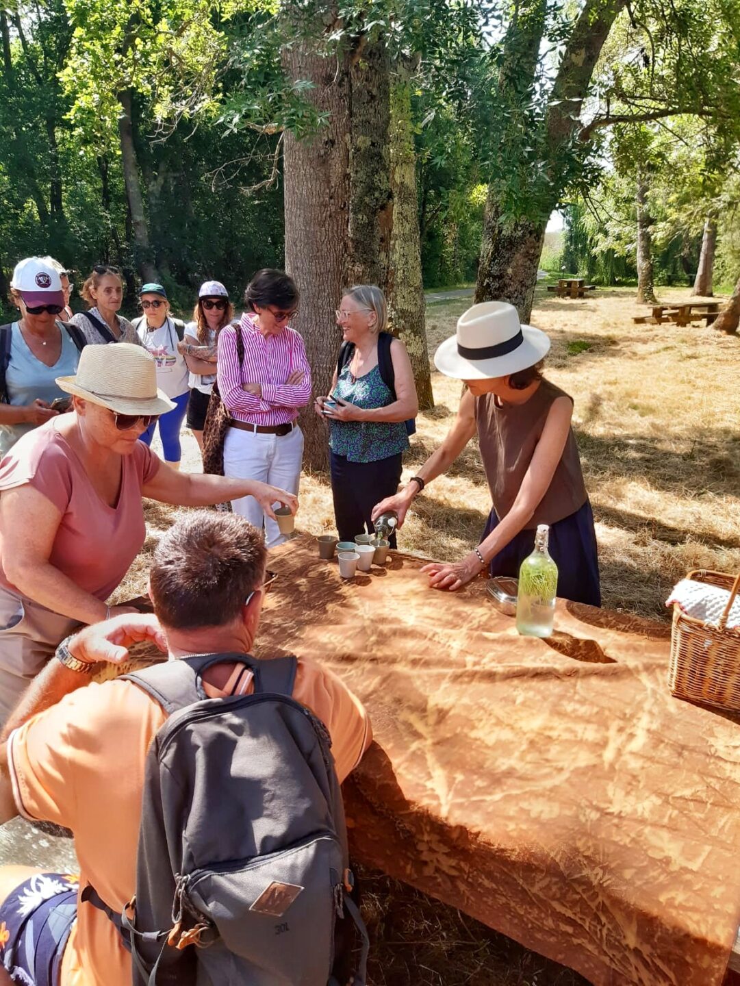 Les découvertes de Monta Plantes sauvages et comestibles ( marais de la perge )  Vendays-Montalivet