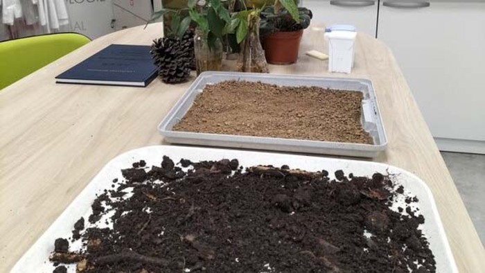 Les défis des sols en milieu urbain, Cité des sciences et de l’Industrie, Paris