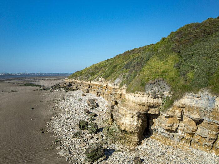 Les détectives naturalistes au falaises des Roches Noires, Parking du Parc des Graves, Villerville