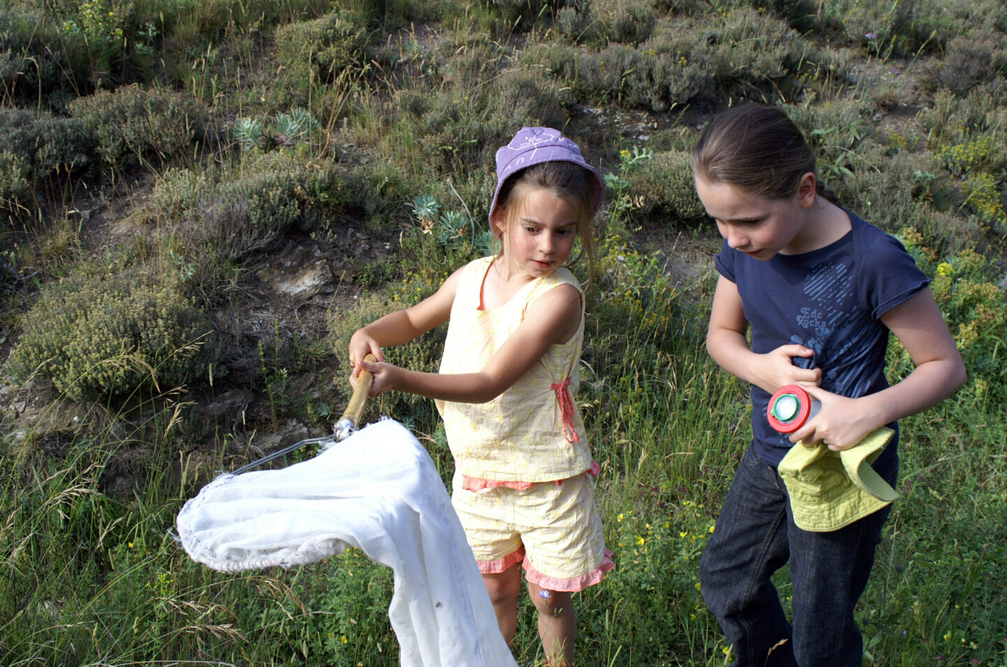 Les drôles de bestioles de la mare, réserve départementale de biodiversité d&rsquo;Argentat  Argentat-sur-Dordogne