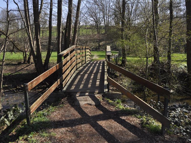 Les espaces du jardin  Villé